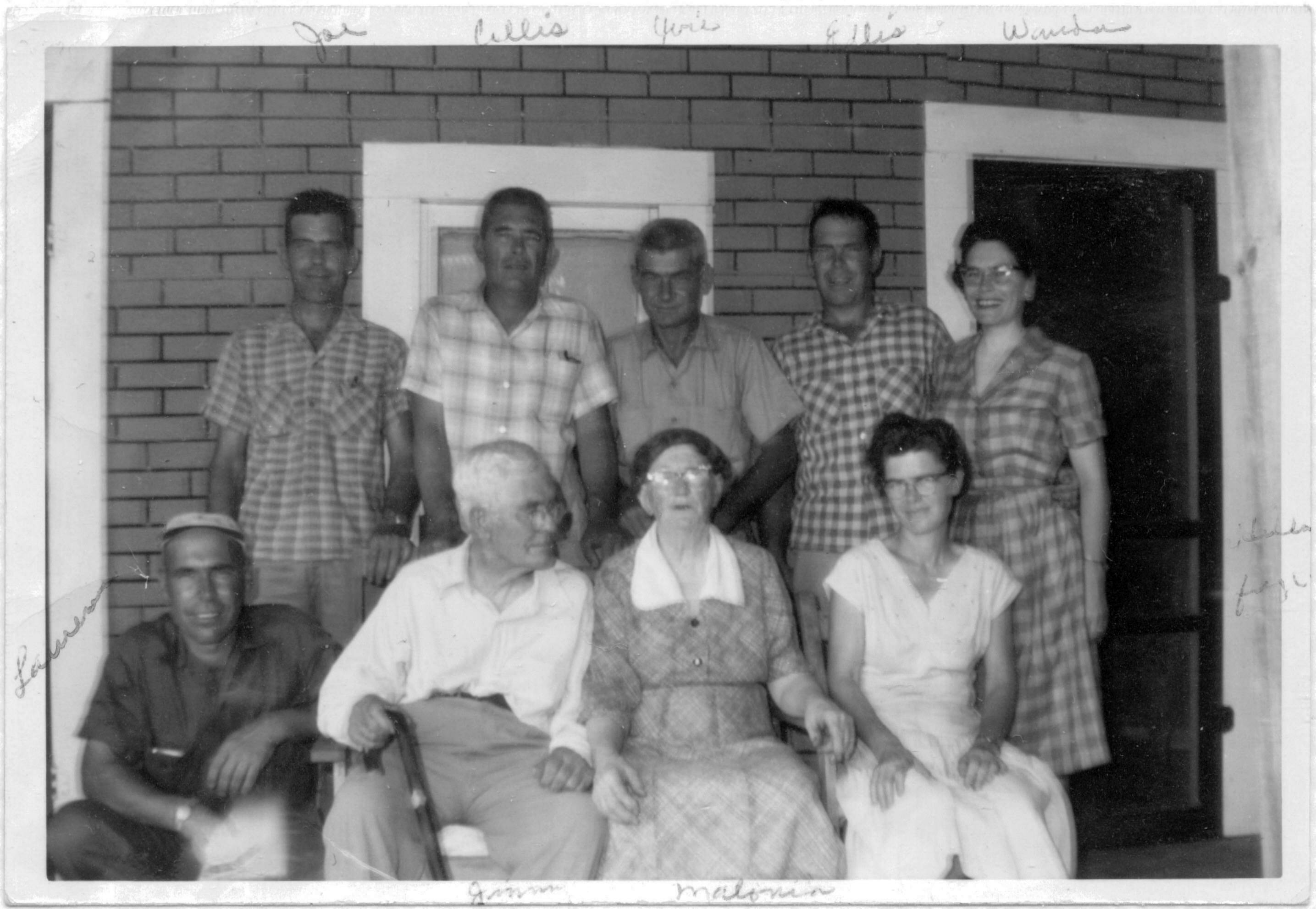 Johnson Family Tree What is the Johnson Family Tree